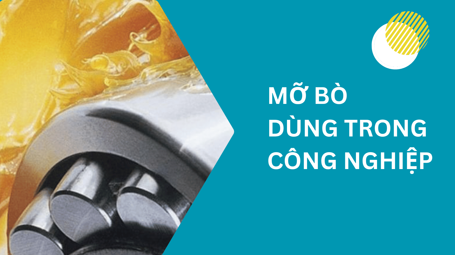 Mỡ Bò Công Nghiệp