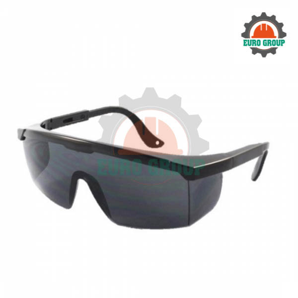 Kính Bảo Hộ Lao Động EV-105 (Đen)